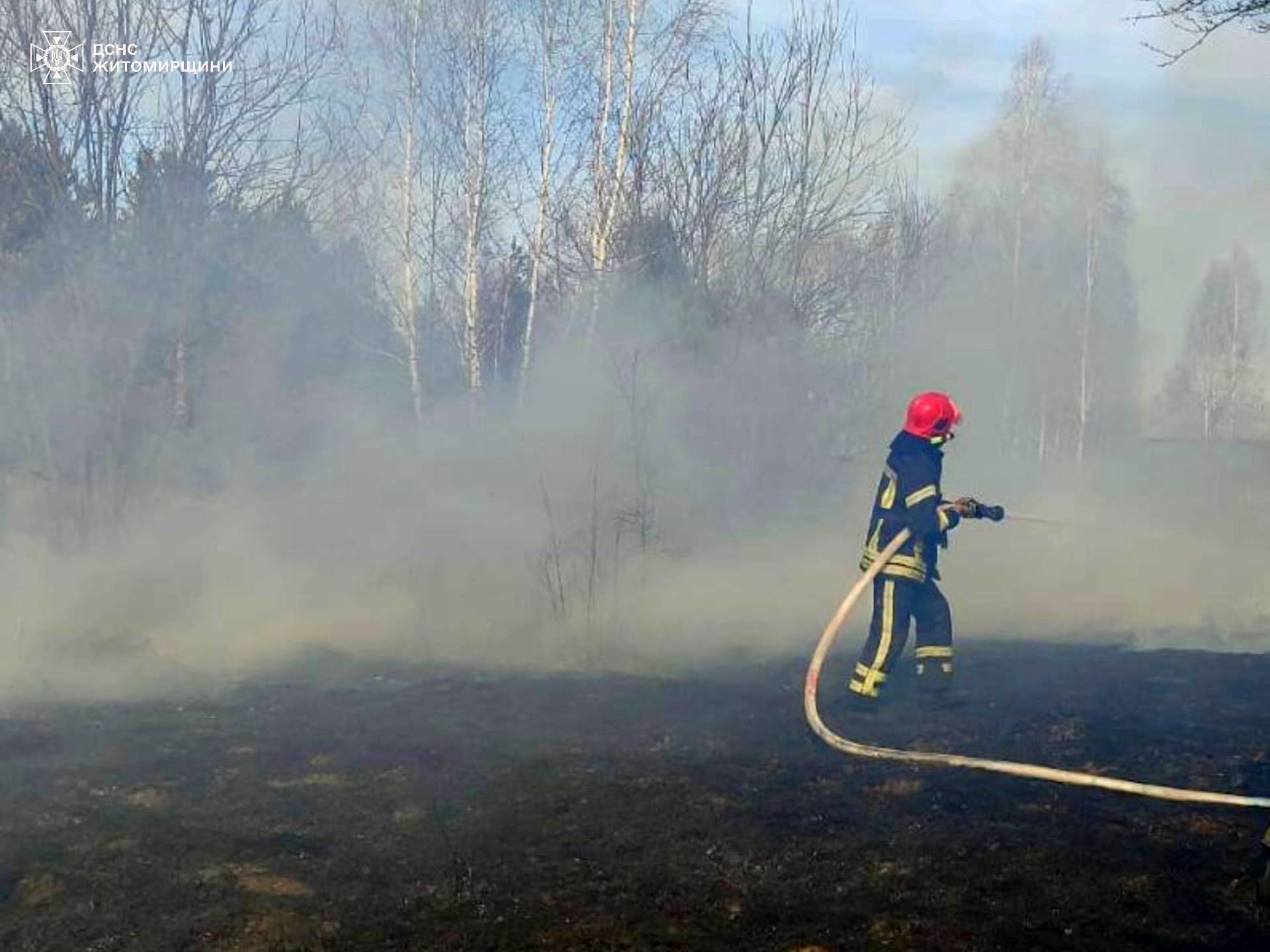 На Житомирщині сталася велика пожежа