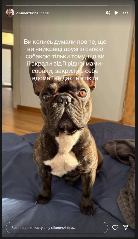 Актор Віктор Розовий віддав свого собаку колишній дружині при розлученні