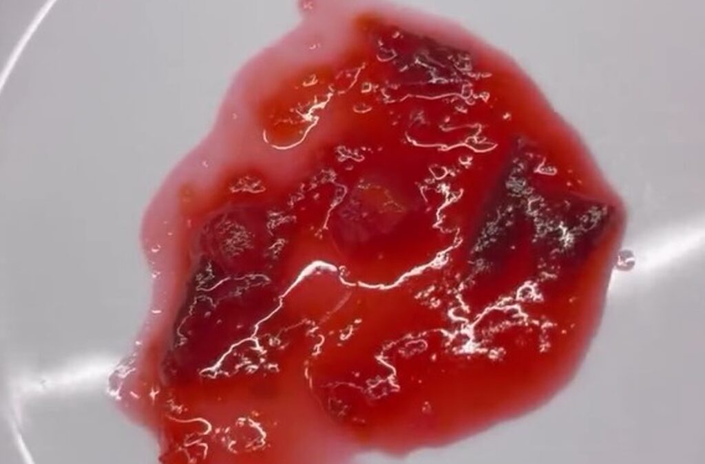 Народна артистка України Сумська розкрила свій рецепт сливового варення