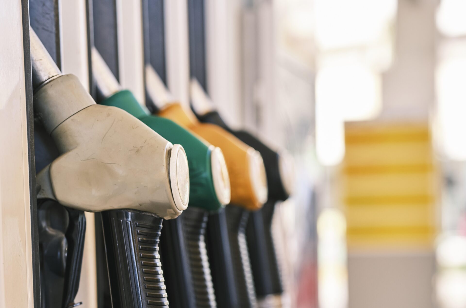 Фото: https://pixabay.com/