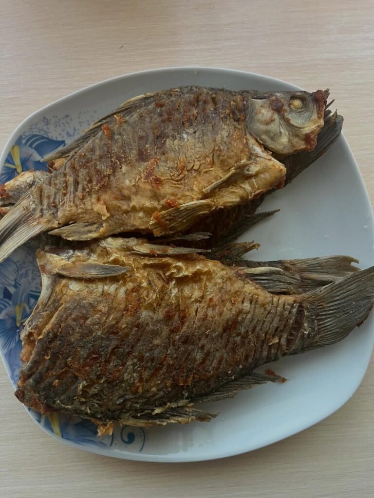 Карасі у селі Потік