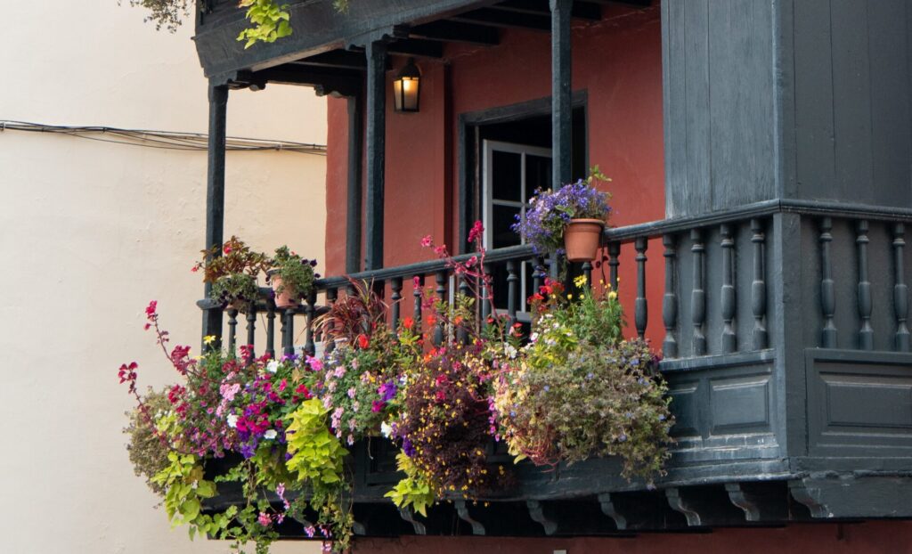 Що посадити на балконі навесні: прості варіанти навіть для новачків