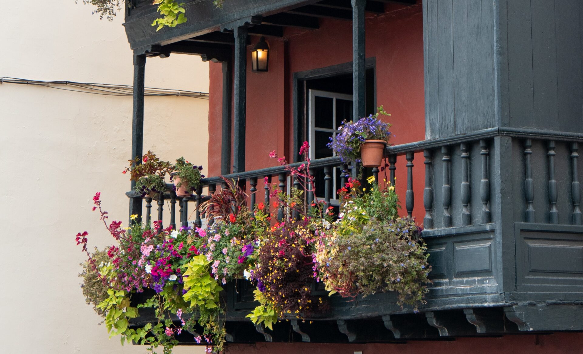 Квіти на балконі Фото: pixabay.com
